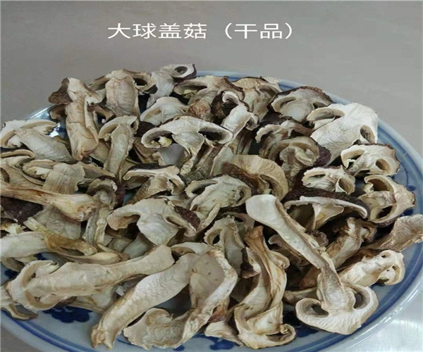 菌菇烘干案例